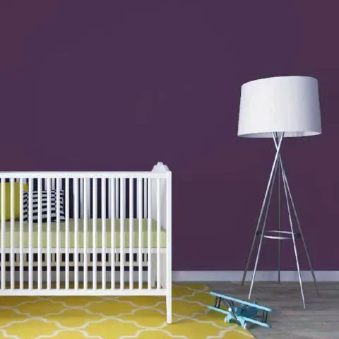About Damson | Dark Purple Paint