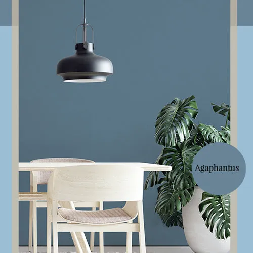 Agapanthus | Mid Blue Paint