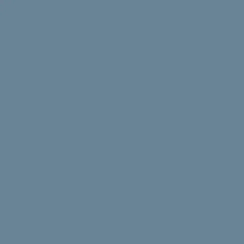 Agapanthus | Mid Blue Paint