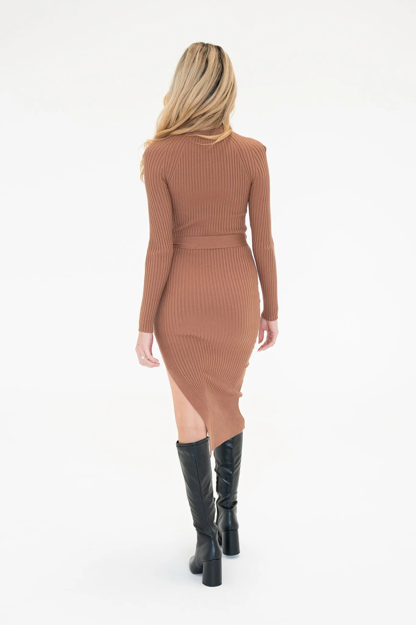 Aspen Belted Turtleneck Dress