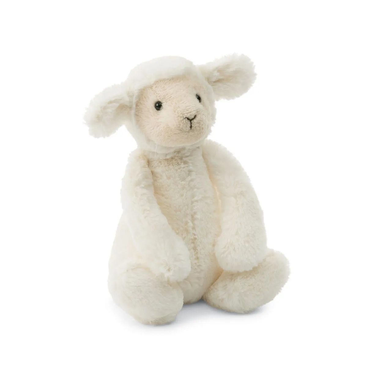 Bashful Lamb - Little