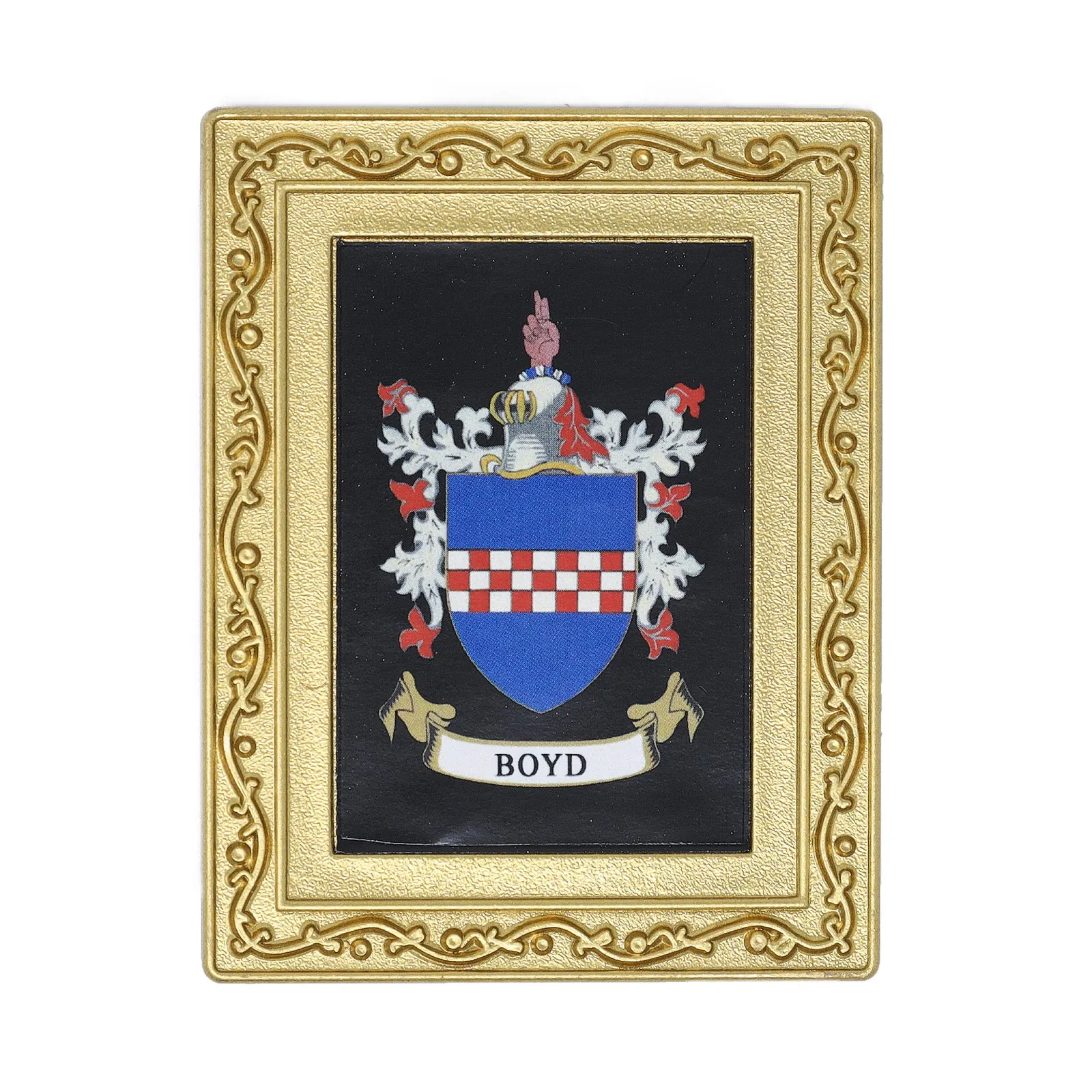 Coat Of Arms Fridge Magnet Boyd