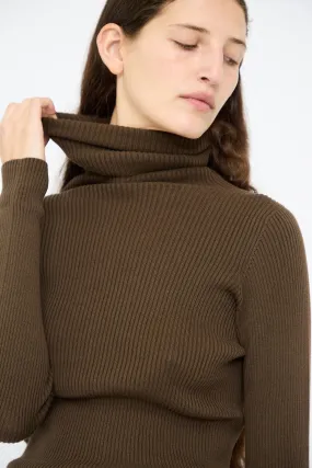 Cotton Rib Turtleneck in Brown