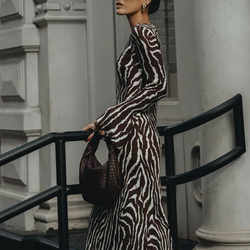 Izzy Zebra Print Dress