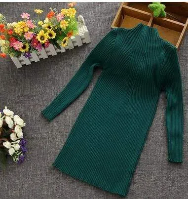 Turtleneck Knit Dress
