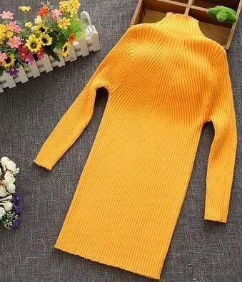 Turtleneck Knit Dress
