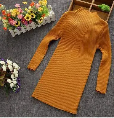 Turtleneck Knit Dress