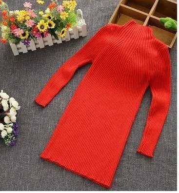 Turtleneck Knit Dress