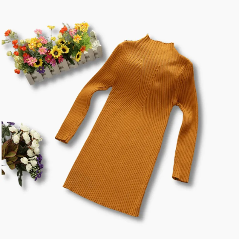 Turtleneck Knit Dress