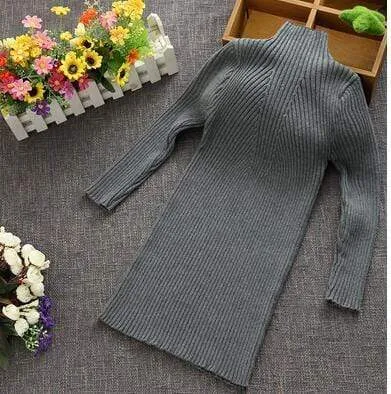 Turtleneck Knit Dress