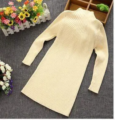 Turtleneck Knit Dress