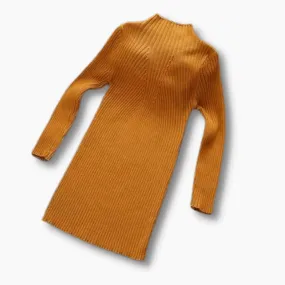 Turtleneck Knit Dress
