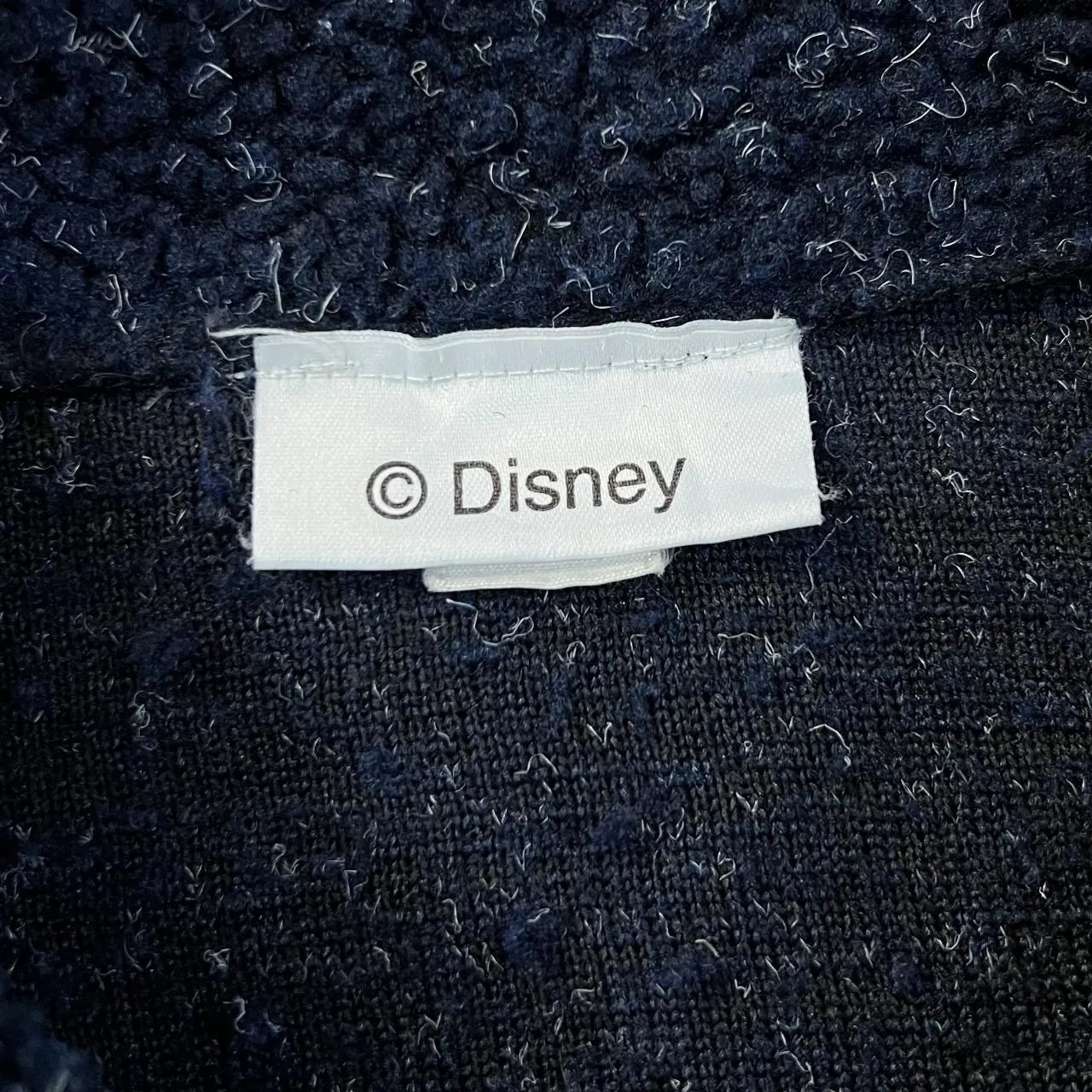 Vintage DISNEY'S DINOSAUR (2000) Embroidered Mini Logo Movie Promo Zip Fleece Sweatshirt